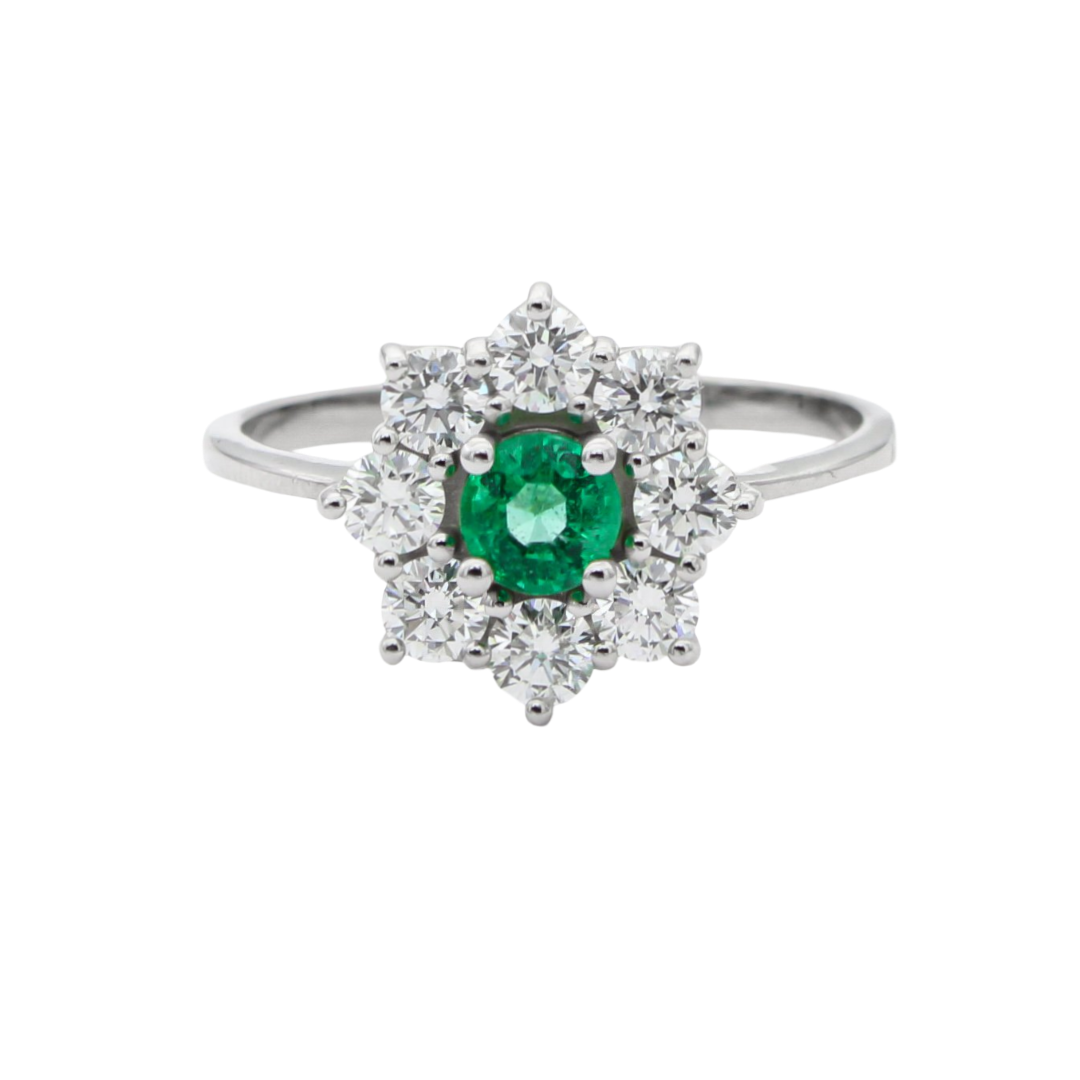 1000032289_e5fd3fa0de3aaa6af81fd47624038d0d-21_11_2025, 19_23_19