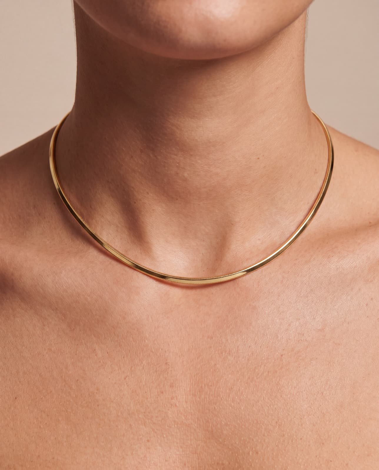 Gargantilla Omega Reversible Bicolor Oro 18K - Imagen 4